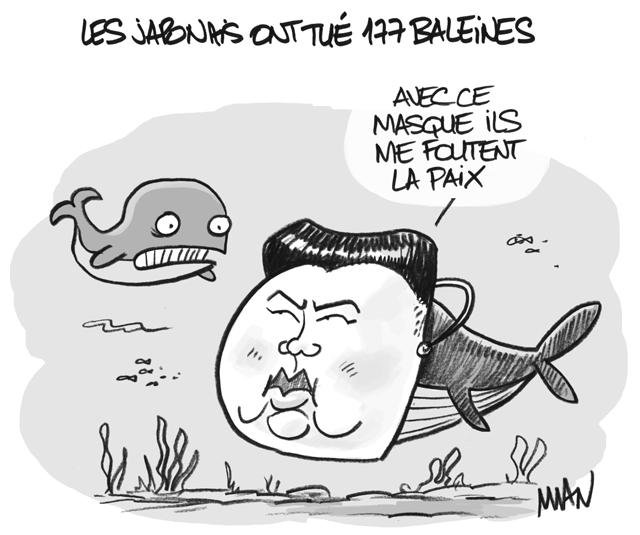 Dessin de presse : Baleines presse : Baleines