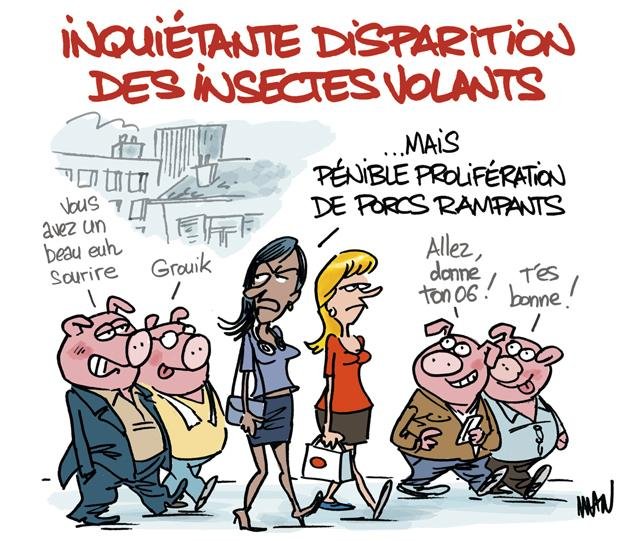 Dessin de presse : Porcs presse : Porcs