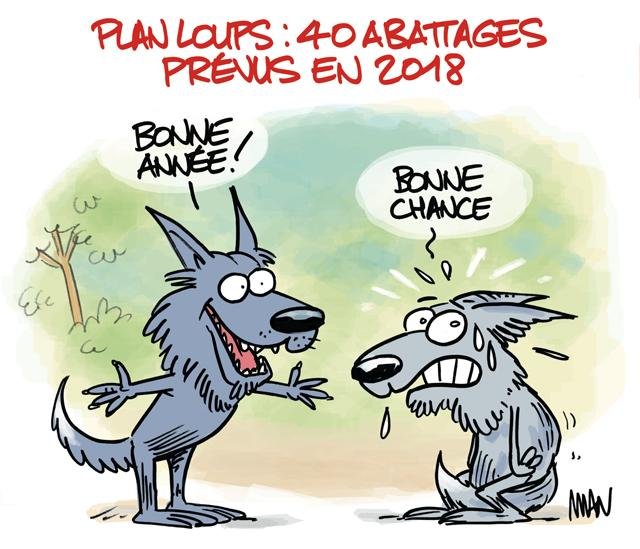 Dessin de presse : Loups presse : Loups