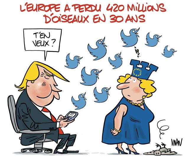 Dessin de presse : Oiseaux presse : Oiseaux