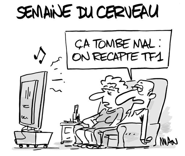 Dessin de presse : Cerveau presse : Cerveau