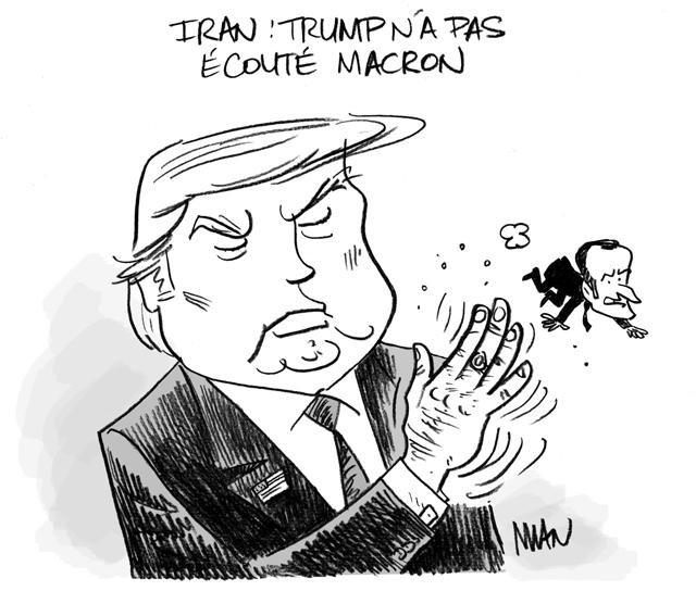 Dessin de presse : Pellicule presse : Pellicule