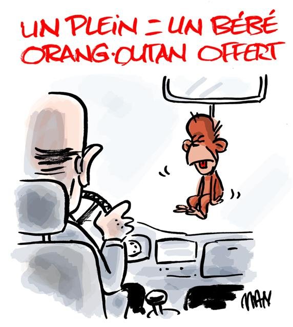 Dessin de presse : Palme presse : Palme