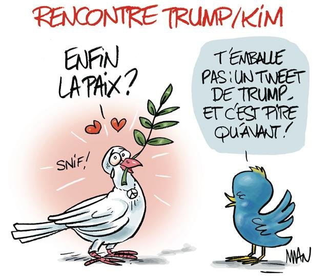 Dessin de presse : Oiseaux presse : Oiseaux