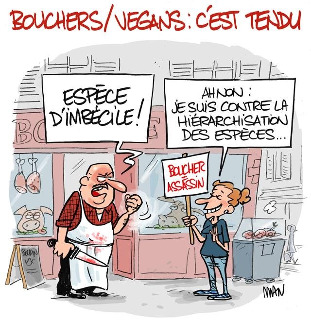 Dessin de presse : Complètement boucher presse : Complètement boucher