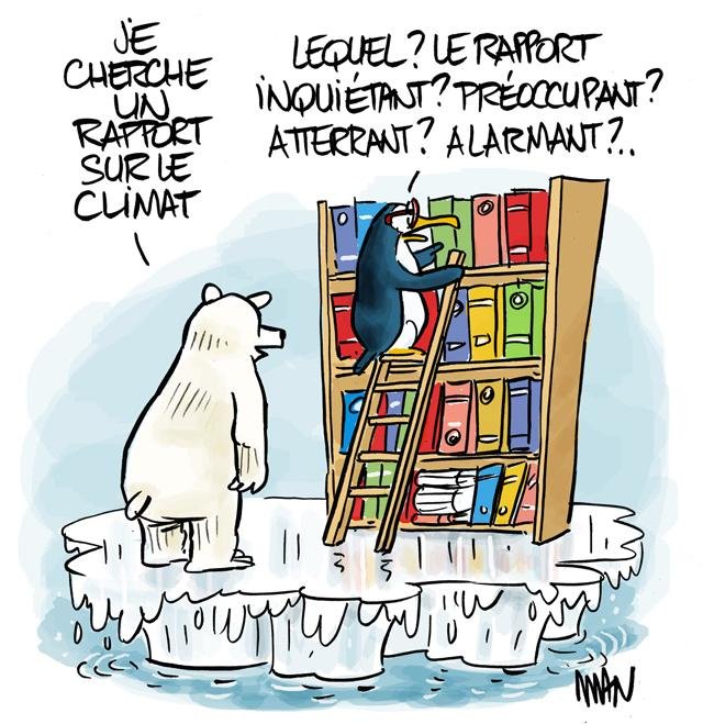 Dessin de presse : Rapport presse : Rapport