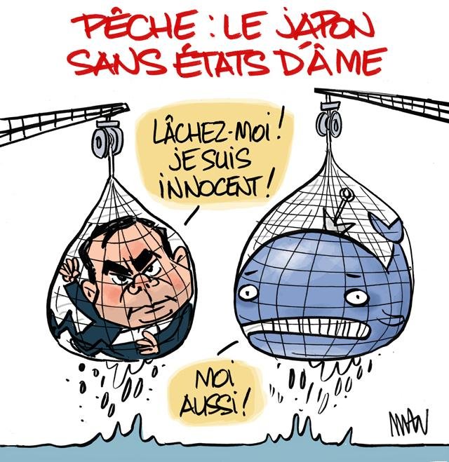 Dessin de presse : Pêche au gros presse : Pêche au gros