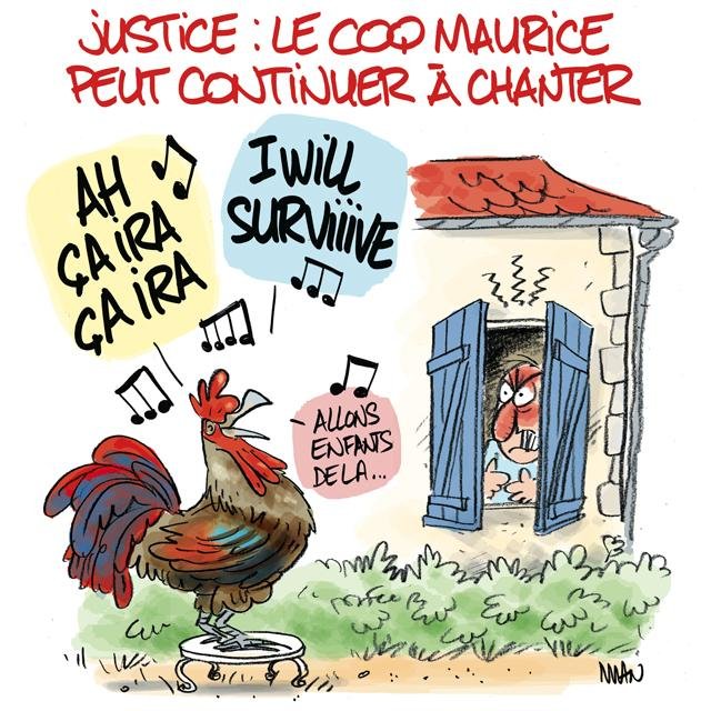Dessin de presse : Maurice le coq presse : Maurice le coq