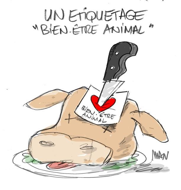 Dessin de presse : Bien être animal presse : Bien être animal