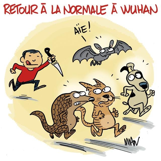 Dessin de presse : Wuhan presse : Wuhan