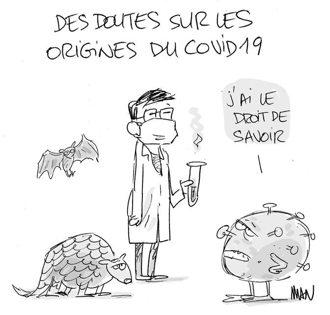 Dessin de presse : Coronavirus: origine presse : Coronavirus: origine