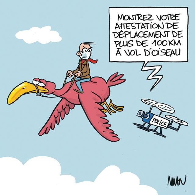 Dessin de presse : Vol d'oiseau presse : Vol d'oiseau