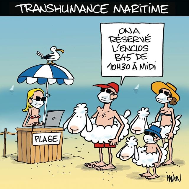 Dessin de presse : Transhumance balnéaire presse : Transhumance balnéaire