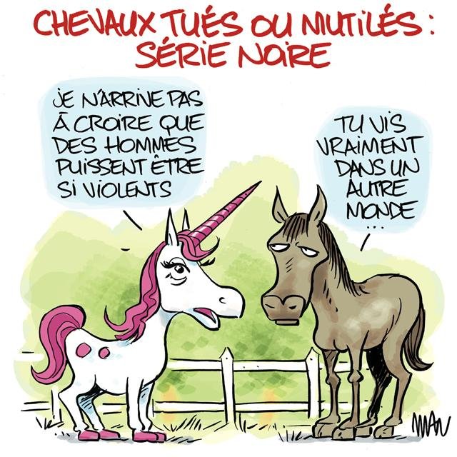 Dessin de presse : Chevaux presse : Chevaux
