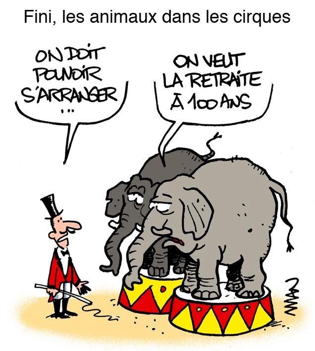 Dessin de presse : Cirques & animaux presse : Cirques & animaux
