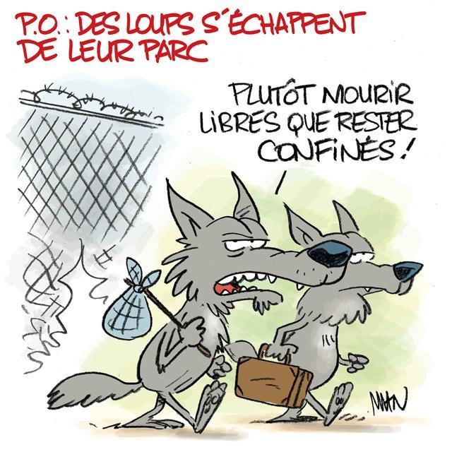 Dessin de presse : Loups presse : Loups