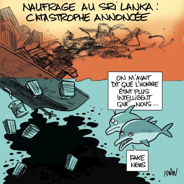 Dessin de presse : Sri Lanka presse : Sri Lanka