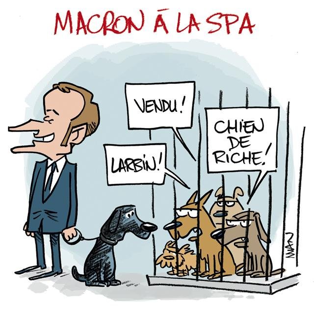 Dessin de presse : Macron à la SPA presse : Macron à la SPA