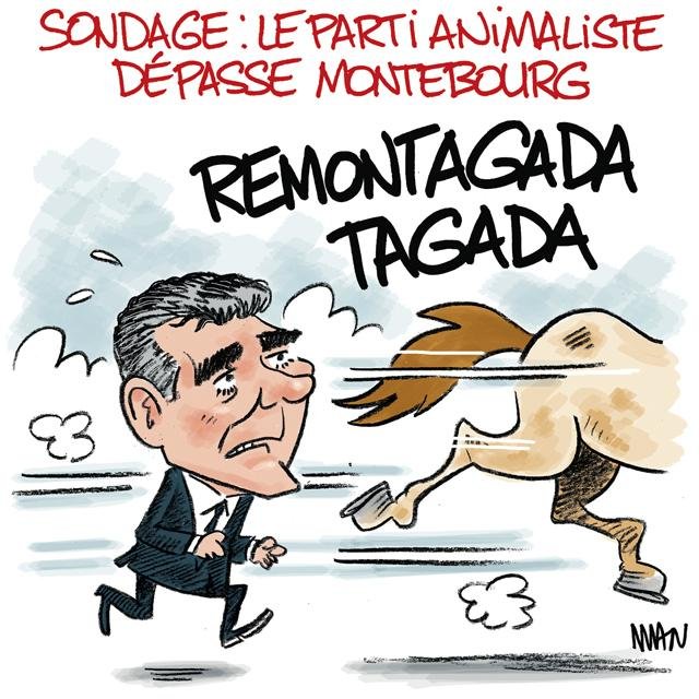 Dessin de presse : Parti animaliste presse : Parti animaliste