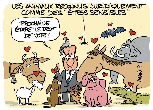 Dessin de presse : Sensibles presse : Sensibles
