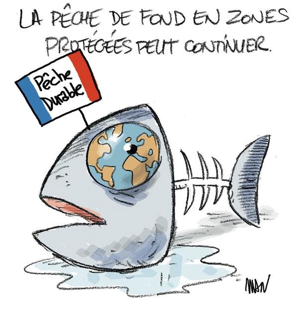 Dessin de presse : Peche durable presse : Peche durable