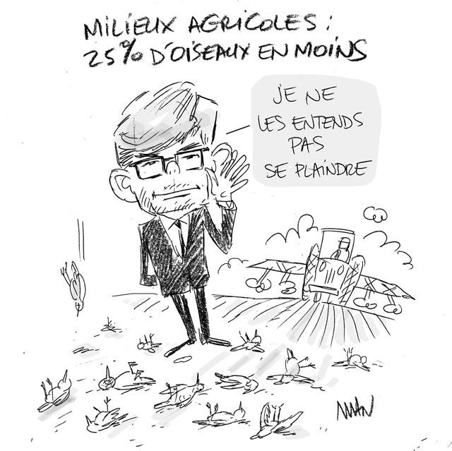 Dessin de presse : Disparition des oiseaux presse : Disparition des oiseaux