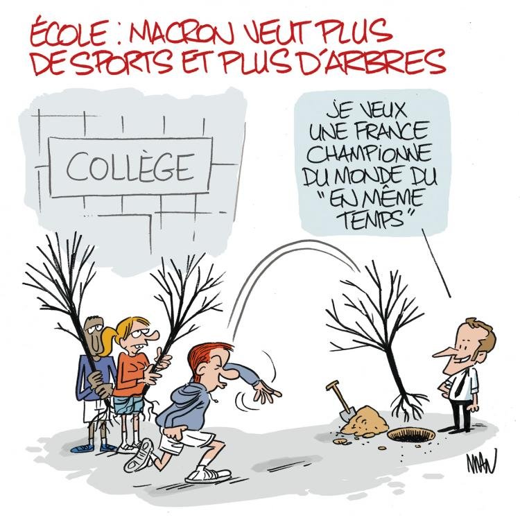 Dessin de presse : Arbres et sport presse : Arbres et sport