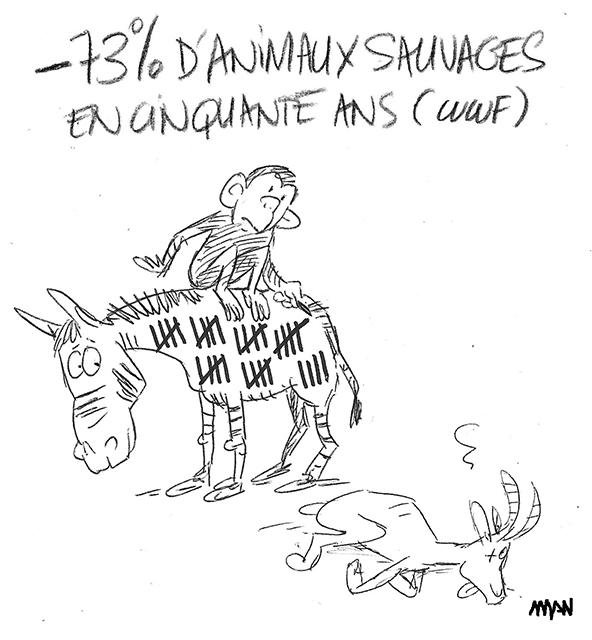 Dessin de presse : Animaux sauvages presse : Animaux sauvages