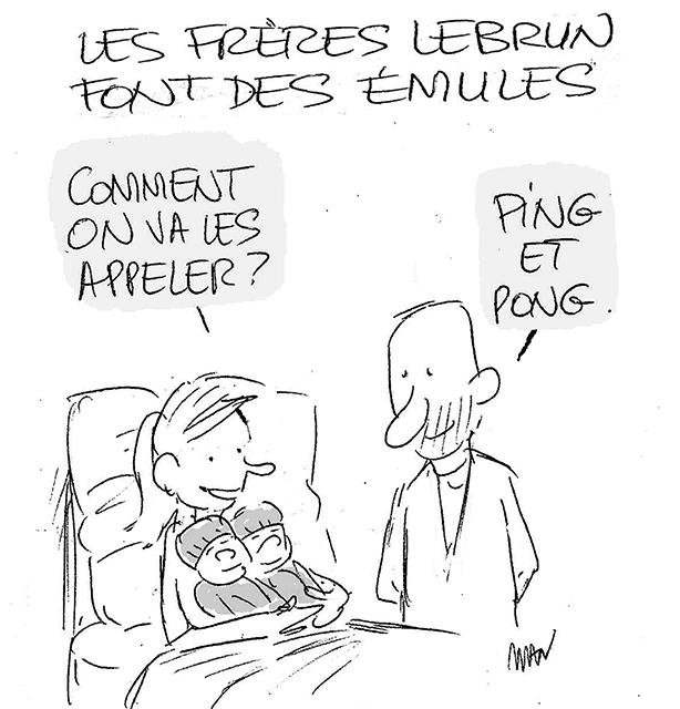 Dessin de presse : Les frères Lebruns presse : Les frères Lebruns