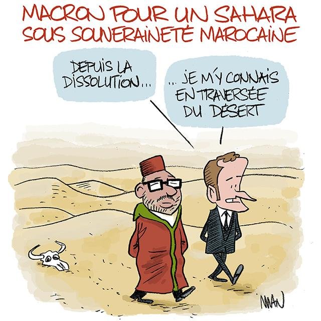 Dessin de presse : Sahara presse : Sahara