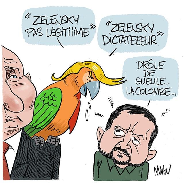 Dessin de presse : Trump Parrot presse : Trump Parrot