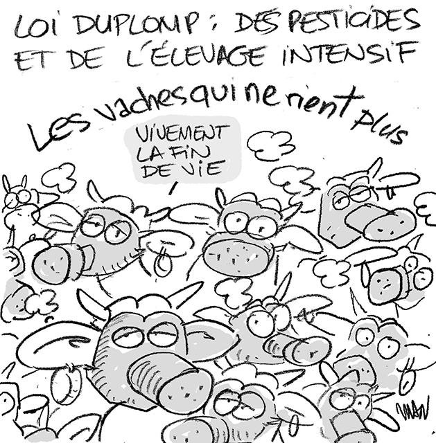Dessin de presse : Duplomb dans l'aile presse : Duplomb dans l'aile