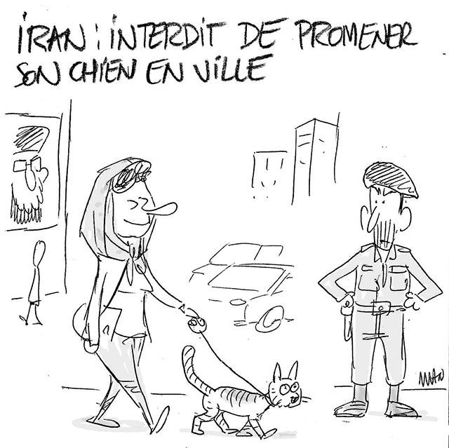 Dessin de presse : Chiens-Iran presse : Chiens-Iran