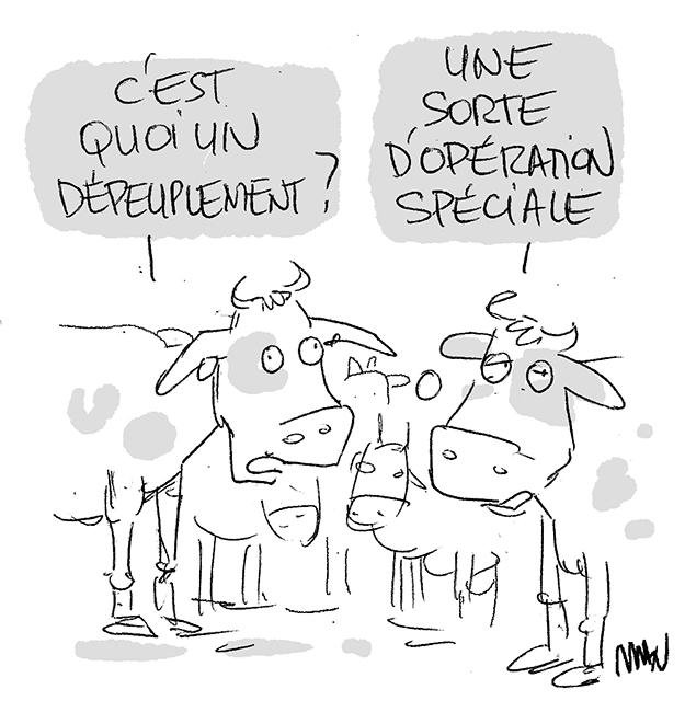 Dessin de presse : Dermatose presse : Dermatose