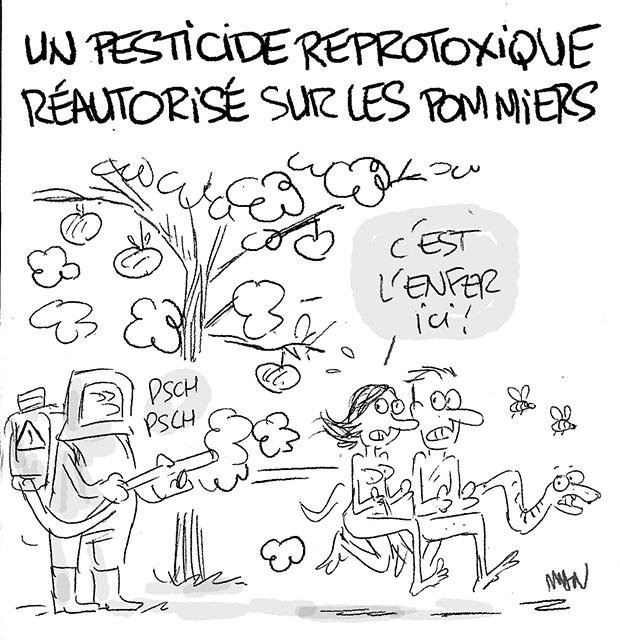 Dessin de presse : Pommes presse : Pommes