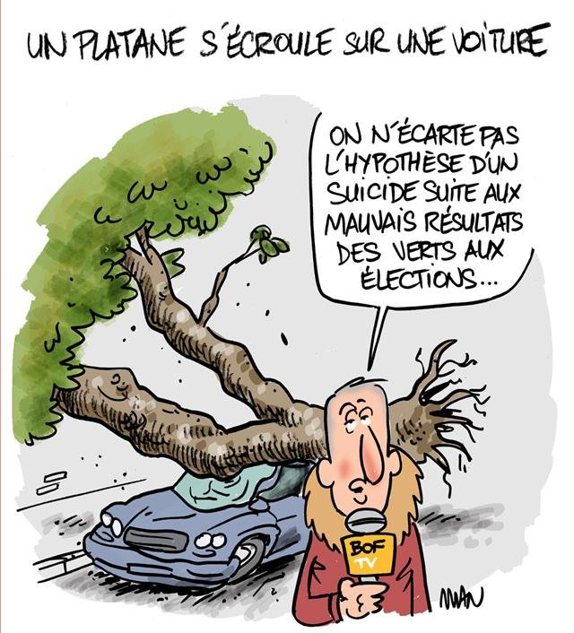 Dessin de presse : Platane presse : Platane
