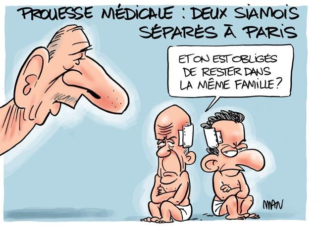 Dessin de presse : Siamois presse : Siamois