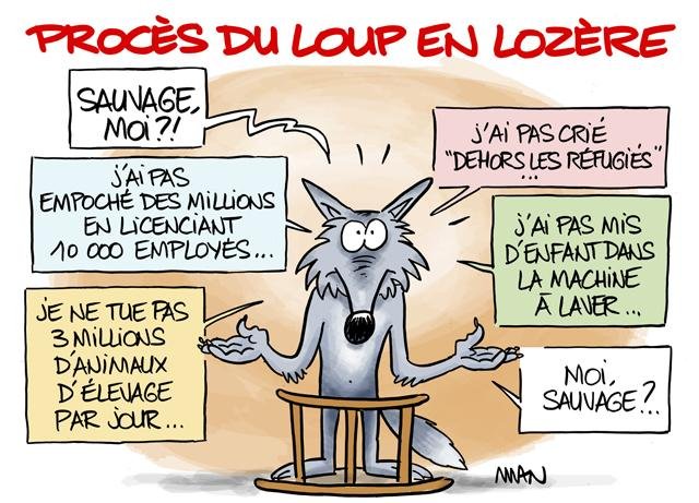 Dessin de presse : Loup presse : Loup