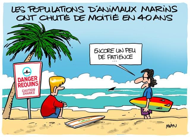 Dessin de presse : Requins presse : Requins