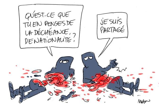 Dessin de presse : Déchéance presse : Déchéance