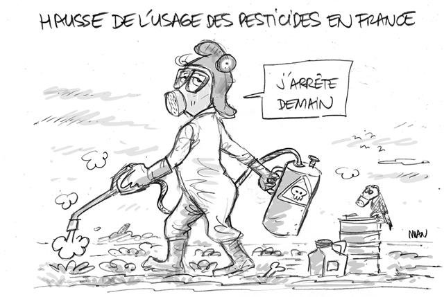 Dessin de presse : Semeuse presse : Semeuse