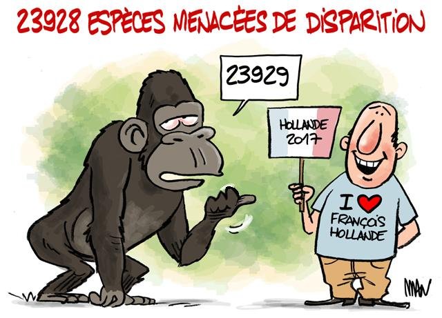 Dessin de presse : Espèces presse : Espèces