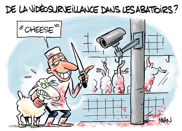 Dessin de presse : Cheese presse : Cheese