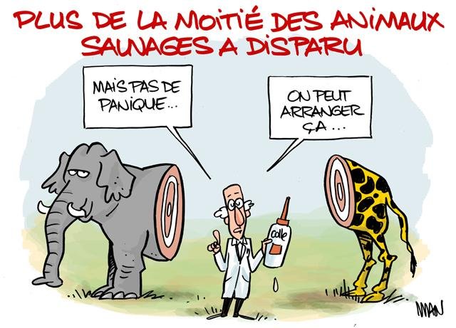 Dessin de presse : Moitié presse : Moitié