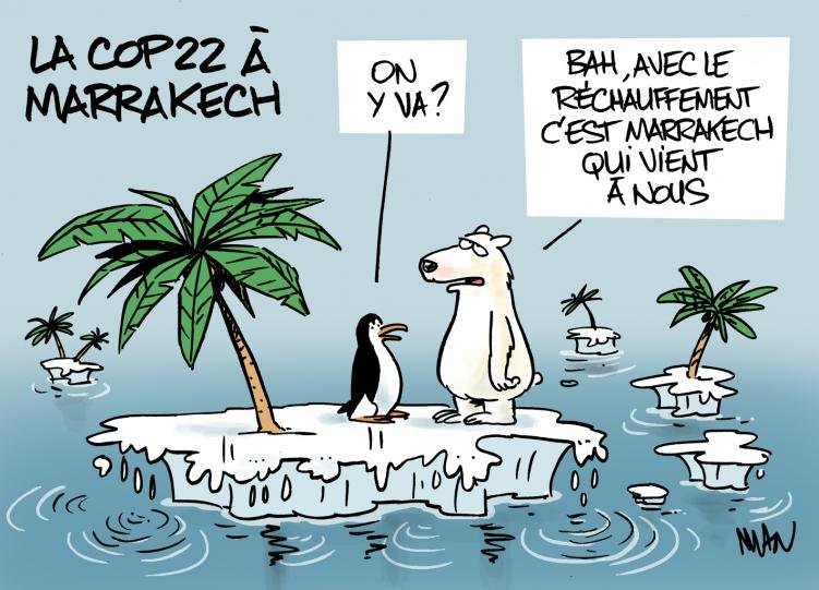 Dessin de presse : Marrakech presse : Marrakech