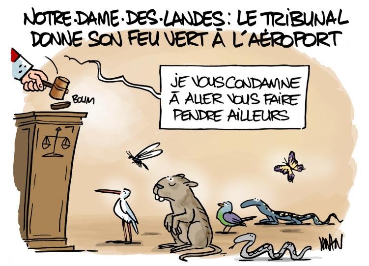 Dessin de presse : NDDL presse : NDDL