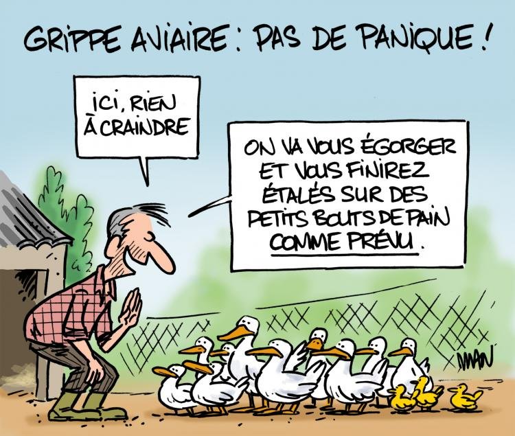 Dessin de presse : Aviaire presse : Aviaire