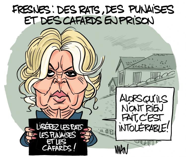 Dessin de presse : Fresnes presse : Fresnes