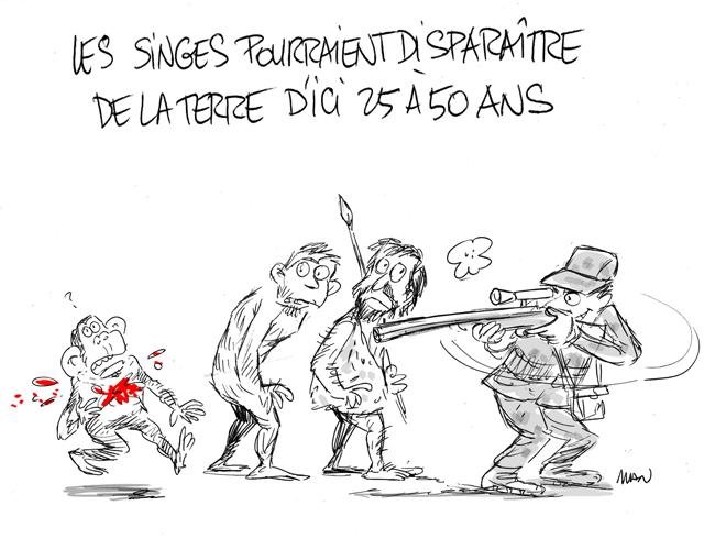 Dessin de presse : Singes presse : Singes