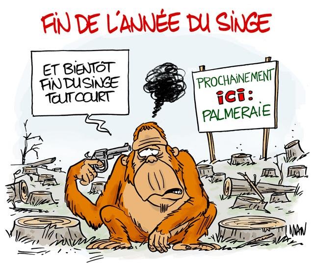 Dessin de presse : Orang dégoûté presse : Orang dégoûté